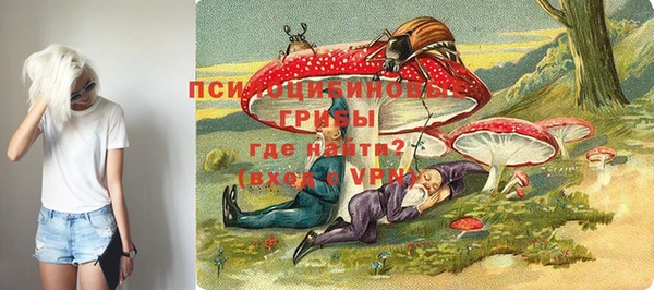 бошки Абинск