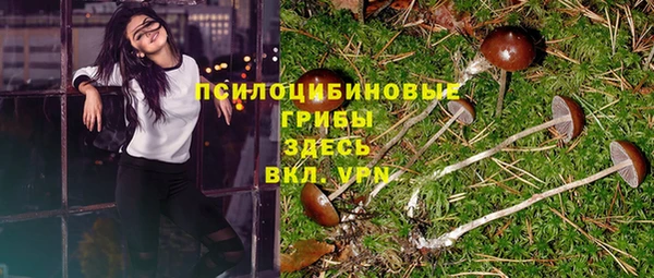 кристаллы Гусиноозёрск