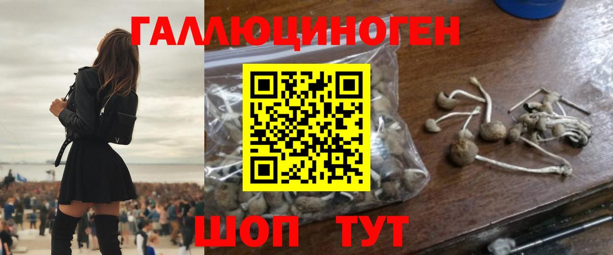 Псилоцибиновые грибы Cubensis  Галлюциногенные грибы ЛСД  Азнакаево  Вход с VPN 