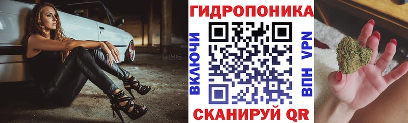 Канабис индика  Азнакаево 